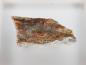 Preview: Kolfanite